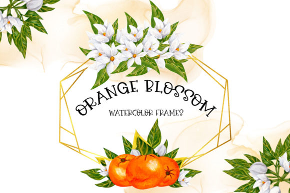 Download Orange Blossom Frames - Premium Bundle