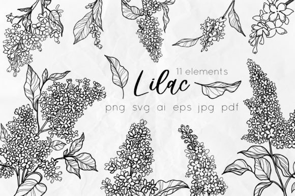 Download Lilac Flowers Line Art SVG - Lilac Collection