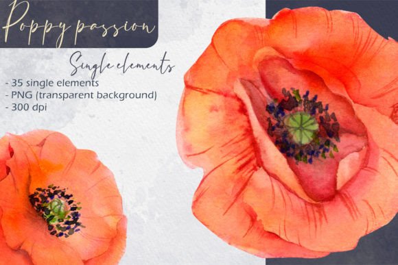 Download Poppy Passion: Single Elements - Passion Collection