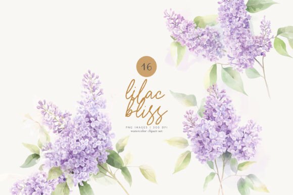 Download Lilac Florals Watercolor Flowers Png - Lilac Collection