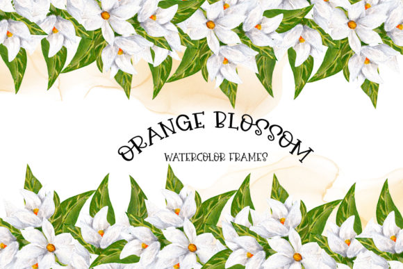 Download Orange Blossom Borders - Premium Bundle