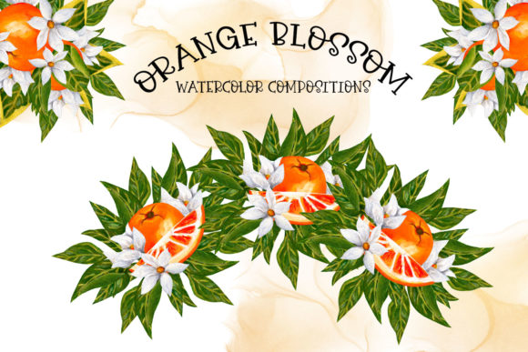 Download Orange Blossom Compositions - Premium Bundle