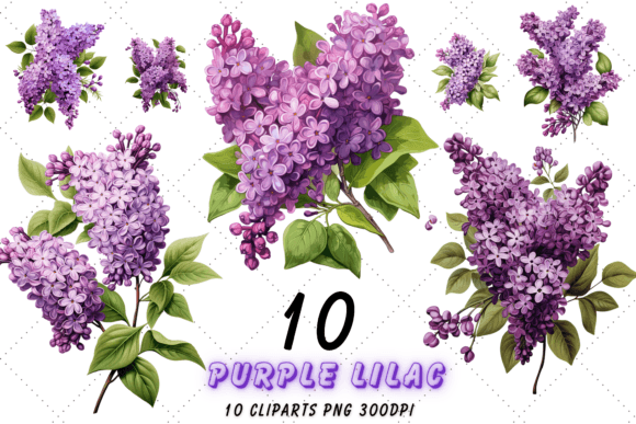 Download Vintage Lilac Cluster Clipart Bundle - Lilac Collection