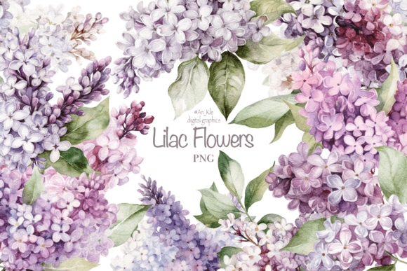 Download Gorgeous Lilac Flowers - Lilac Collection