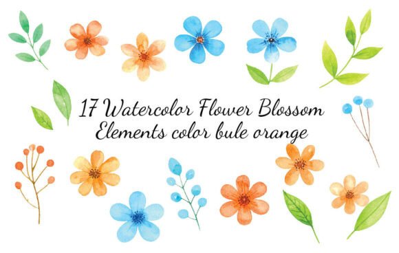 Download Watercolor Flower Blossom Elements Color - Blossom elements Collection