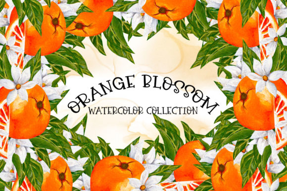 Download Orange Blossom-Watercolor Collection - Premium Bundle