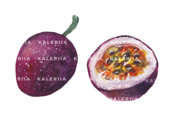 Download Passion Fruit - Watercolor Illustrations - Passion Collection
