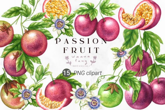 Download Passion Fruit Watercolor Clipart, PNG - Passion Collection