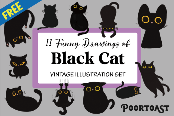 Download Black Cat Collection - Black Collection