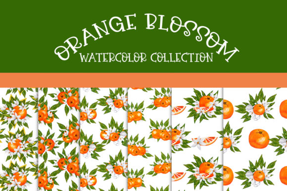 Download Orange Blossom - Seamless Patterns - Premium Resources